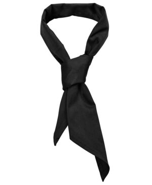 JB's Chef's Scarf